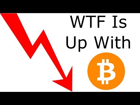 Bitcoin Bulletin: 22nd Feb WTF Is Up With Bitcoin Price Today?