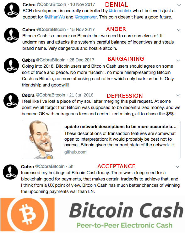 The Curious Case of 'Cobra Bitcoin': The Peculiar Anon With a Lot of Power