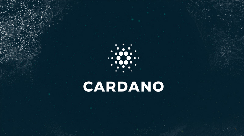 TheMerkle Cardano Logo