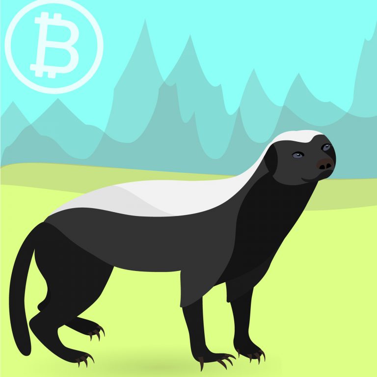 Latest Release of Badger Wallet Supports SLP and Wormhole Tokens